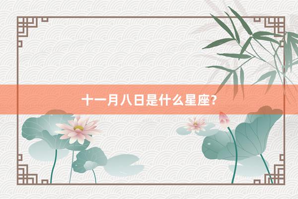 十一月八日是什么星座？