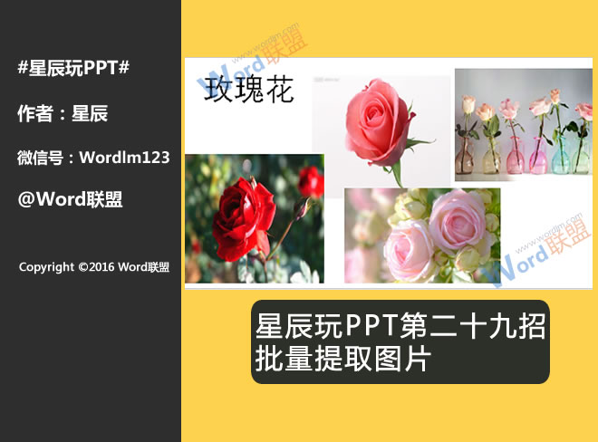 批量提取图片:星辰玩PPT第二十九招(图1) 效果图