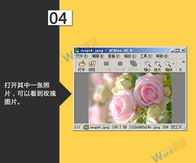 批量提取图片:星辰玩PPT第二十九招(图5) 打开其中一张照片